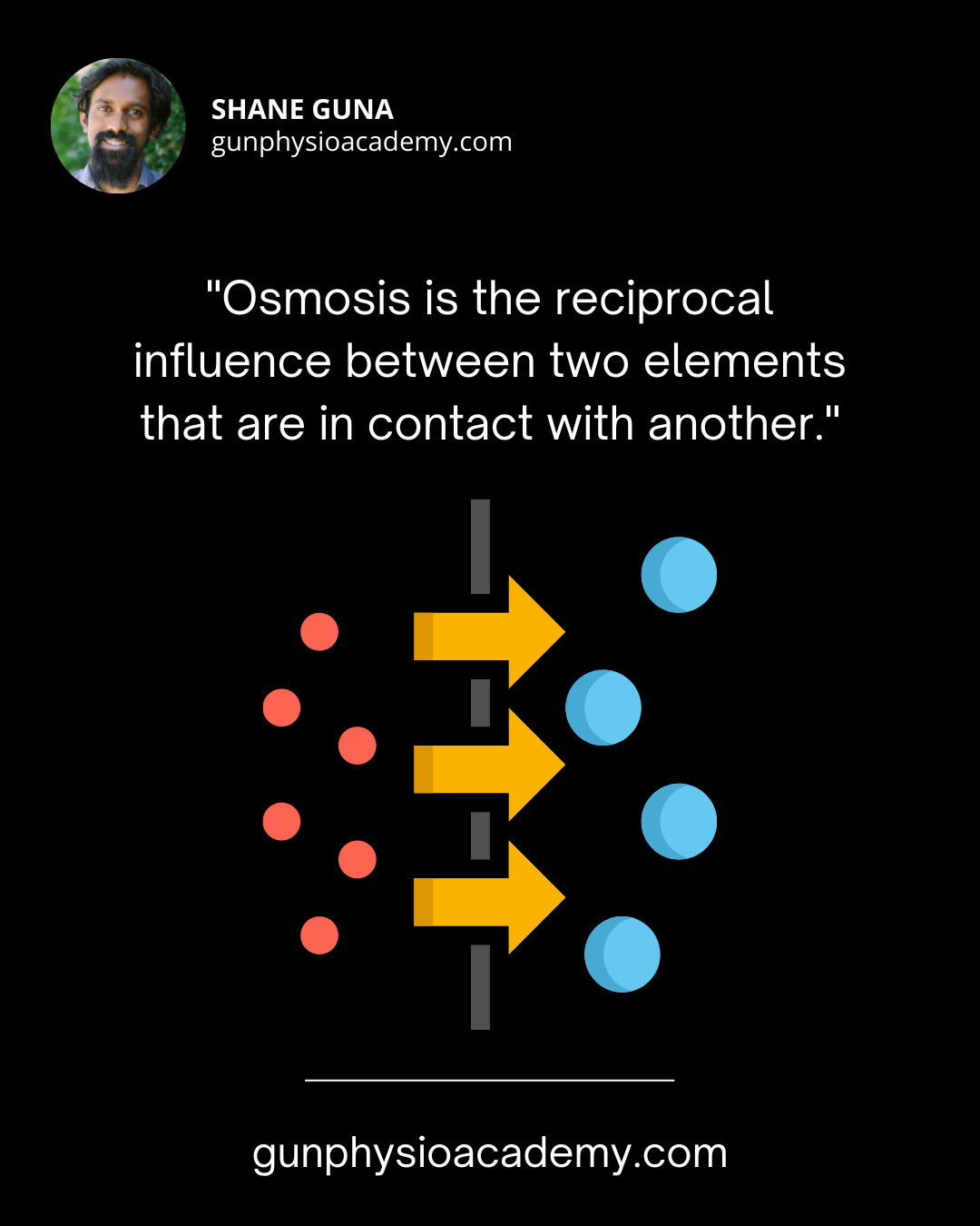 Osmosis - process