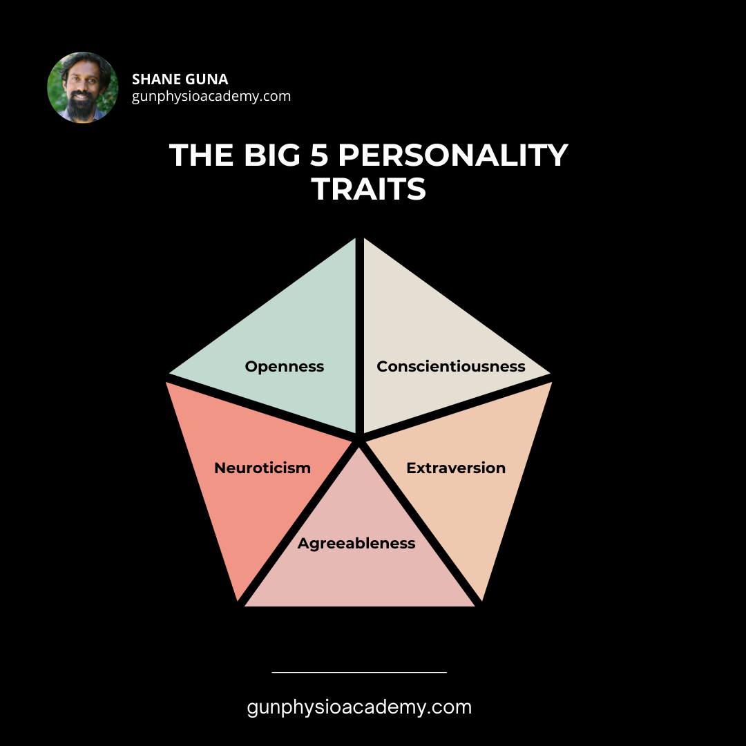 Diversity is unconditional love of the big 5 personalities